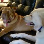Carol Hooper - @carol.hooper.581 - Instagram