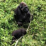 Carol Hooper - @carol.hooper.311056 - Instagram