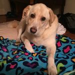 Carol Hooper - @carol.hooper.92167 - Instagram