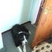Carol Hoyle - Facebook