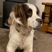 Carol Hoyle - Facebook