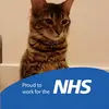 Carolyn Hoyle - @carolynhoyle - TikTok