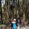 Carol Hsu - @carol.hsu36 - TikTok