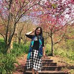 Carol Hsu - @carolhsuyw - Instagram