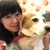 Carol Hsu - @carolhsu2 - TikTok
