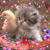 Carol Hutton - @carol.hutton3 - TikTok