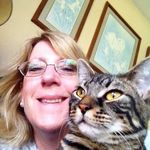 Carol Hutton - @carolahutton - Instagram