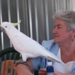 Carol Jackman - Facebook