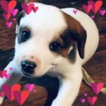 Carol Jacques - @carol.jacques.750 - Instagram