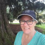 caroljaneway - @view_fromabench - Instagram