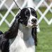 Carol Jansen - Facebook
