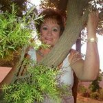 Carol Jansen van Rensburg - @caroljvr - Instagram