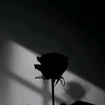 Carol Jaquet - Facebook