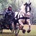 Carol Marie Jarrell - Facebook