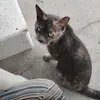 Carol Jasper Hall - @carol.jasper.hall - TikTok