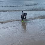 Carol Jayne - @carolhammersley2023 - Instagram