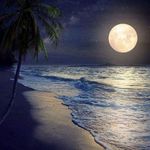 Carol Jayne - @carol.jayne.54 - Instagram