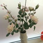 Carol Jefferies - @jefferies.carol - Instagram