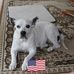 Carol Jeffers - Facebook