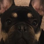 @caroljefferies53 - Instagram