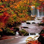 Carol Jerger - Facebook