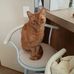 Carol Ann - Facebook