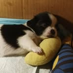 Carol Joaquin - Facebook