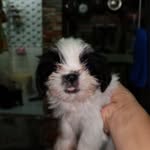 Carol Joaquin Mendez - @caroljoaquinmense - Instagram
