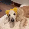 Carol Johnston - @carol.johnston04 - TikTok