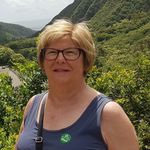 Carol Johnston - @caroljohnston619 - Instagram