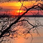 Carol Johnston - @carol.johnston.940 - Instagram
