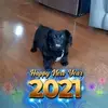 caroljohnston836 - @caroljohnston836 - TikTok