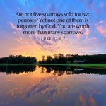 Carol Jonas Stanley - @carolstanley1964 - Instagram