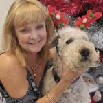 Carol Scott - @caroljuddy - Instagram