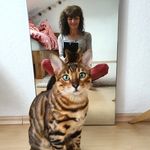 Carol Kaiser - @caro_leon_bengal - Instagram