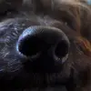 carolkaiser80 - @carolkaiser80 - TikTok