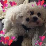 Carol Keegan - @carol.keegan.50 - Instagram