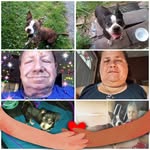 Carol Keen - @keencarol37 - Instagram