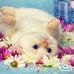 Carol Keller - Facebook
