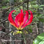 Carol Burn Kempen - @carolkempenburn - Instagram
