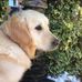 Carol Kemp - Facebook