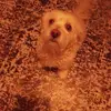 Carol Kemp - @carol.kemp47 - TikTok