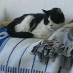 Carol Kenner - @carolkenner - Instagram