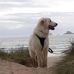 Carol Kibler - Facebook