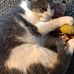 Carol Kidwell - Facebook