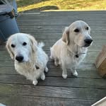 Carol Killough - @killoughcarol - Instagram