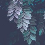 Carol Kirchner - @carolkirchnerkirchner - Instagram