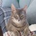 Carol Kirchner - Facebook