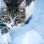 Carol Kirsch - Facebook