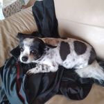 Carol Klassen - @carol.klassen.7545 - Instagram